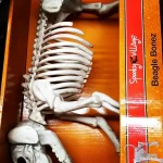 Halloween Costume Pallet – Wholesale - Image 4