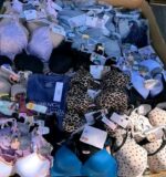 Wholesale Bra Liquidation Pallets - Image 4