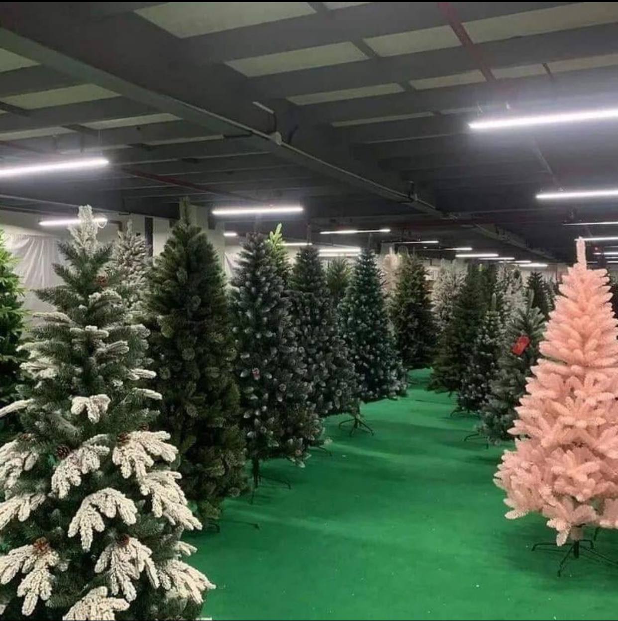 photo_5796647906504197588_y Christmas Tree Liquidation Pallets - Wholesale - Image 1