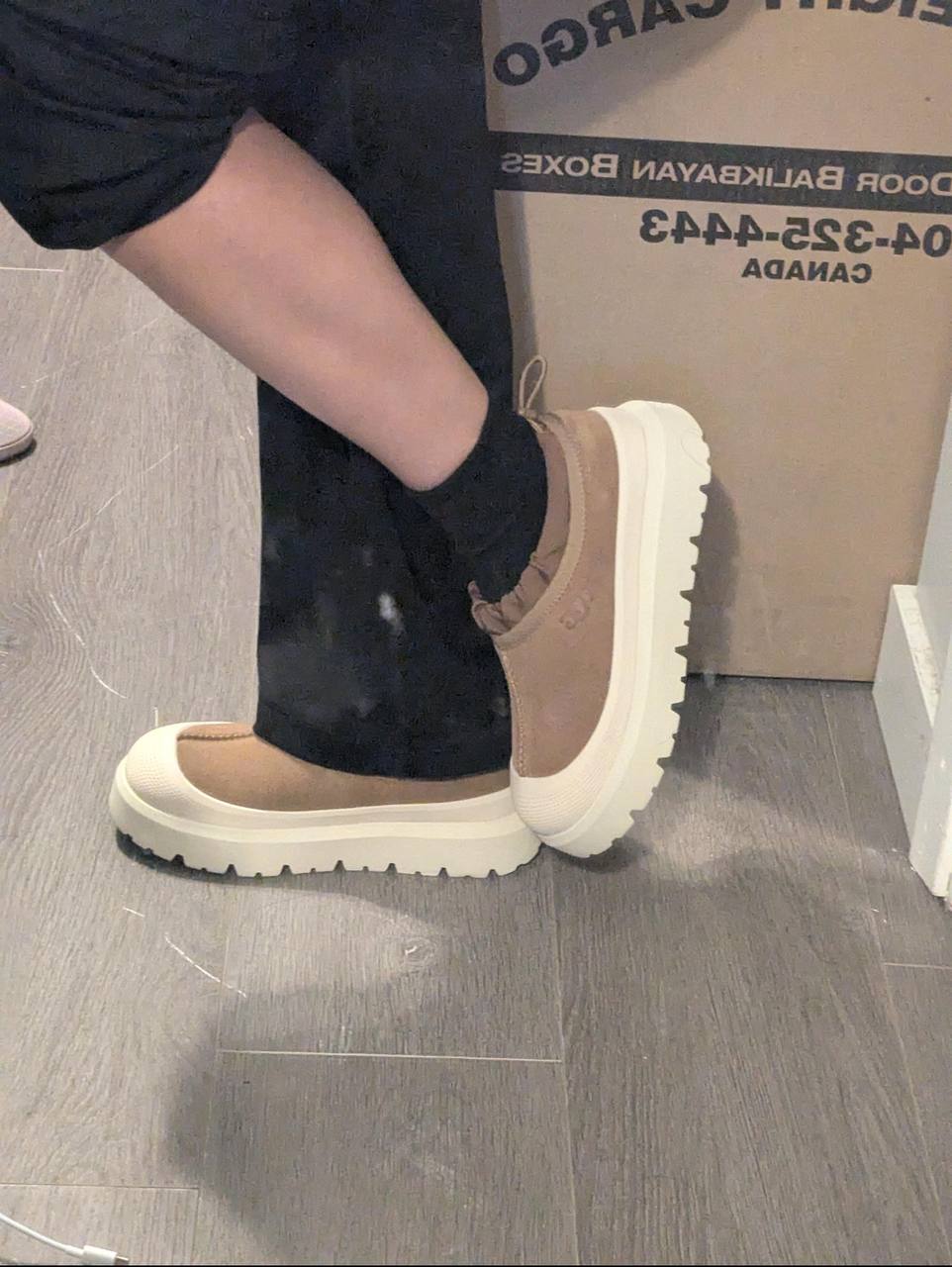 photo_5801151506131569591_y Wholesale Ugg Shoes Liquidation Pallets - Image 7